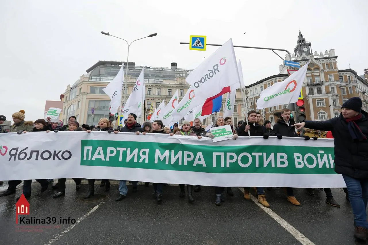 Регистрацию федерального списка «Яблока» объясняют попыткой канализировать протестные настроения в контролируемое русло. Партия остаётся одной из немногих легальных площадок для антивоенных голосов, хотя многих её известных кандидатов не допустили к выборам.