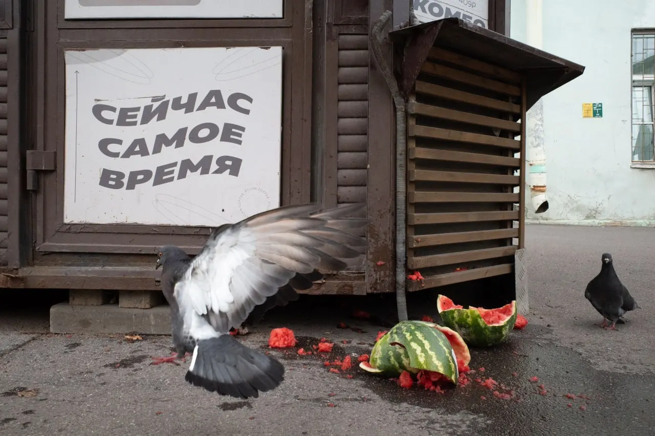 Штраф антивоенному священнику и&nbsp;панихиды в&nbsp;День памяти жертв Большого террора: что&nbsp;происходит в&nbsp;Санкт‑Петербурге, России и&nbsp;мире