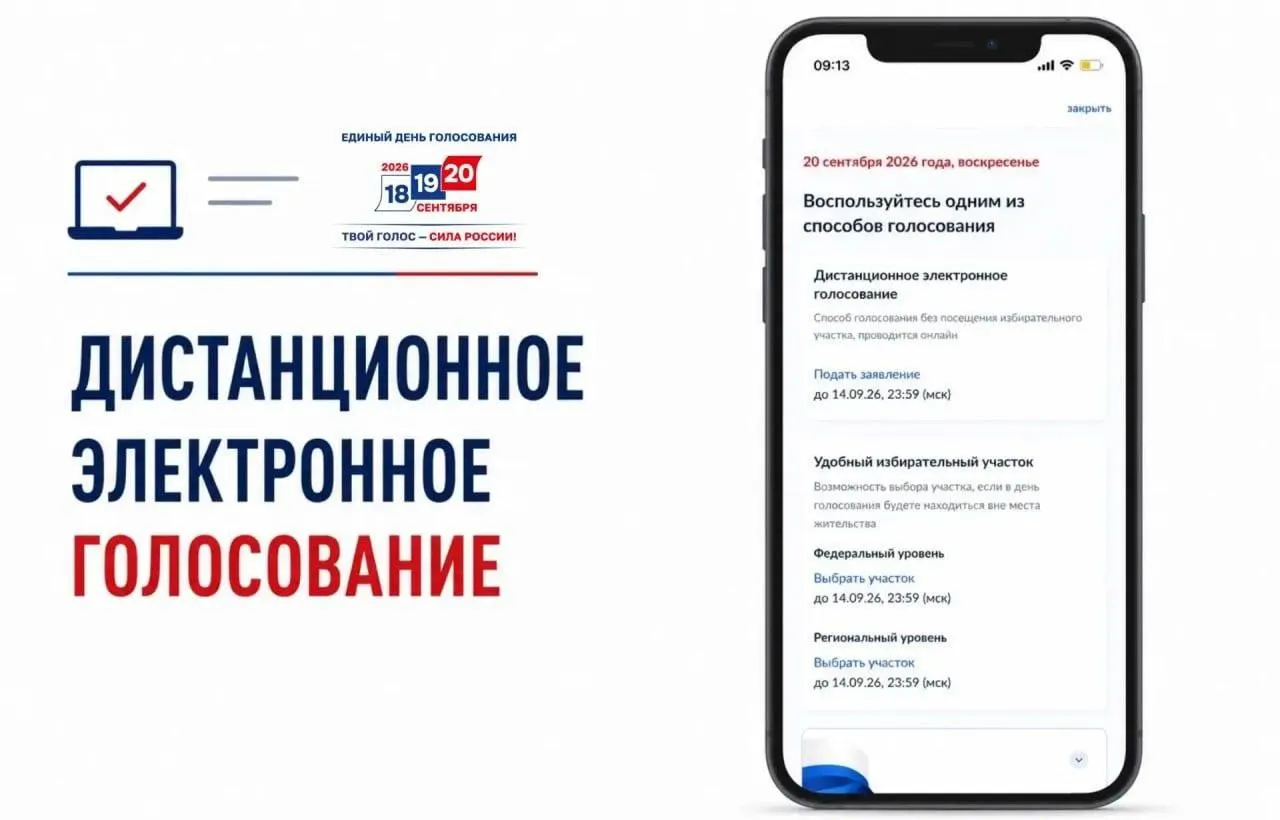 Критики называют ДЭГ главной избирательной афёрой и предупреждают о непрозрачности процесса и риске фальсификаций итогов.