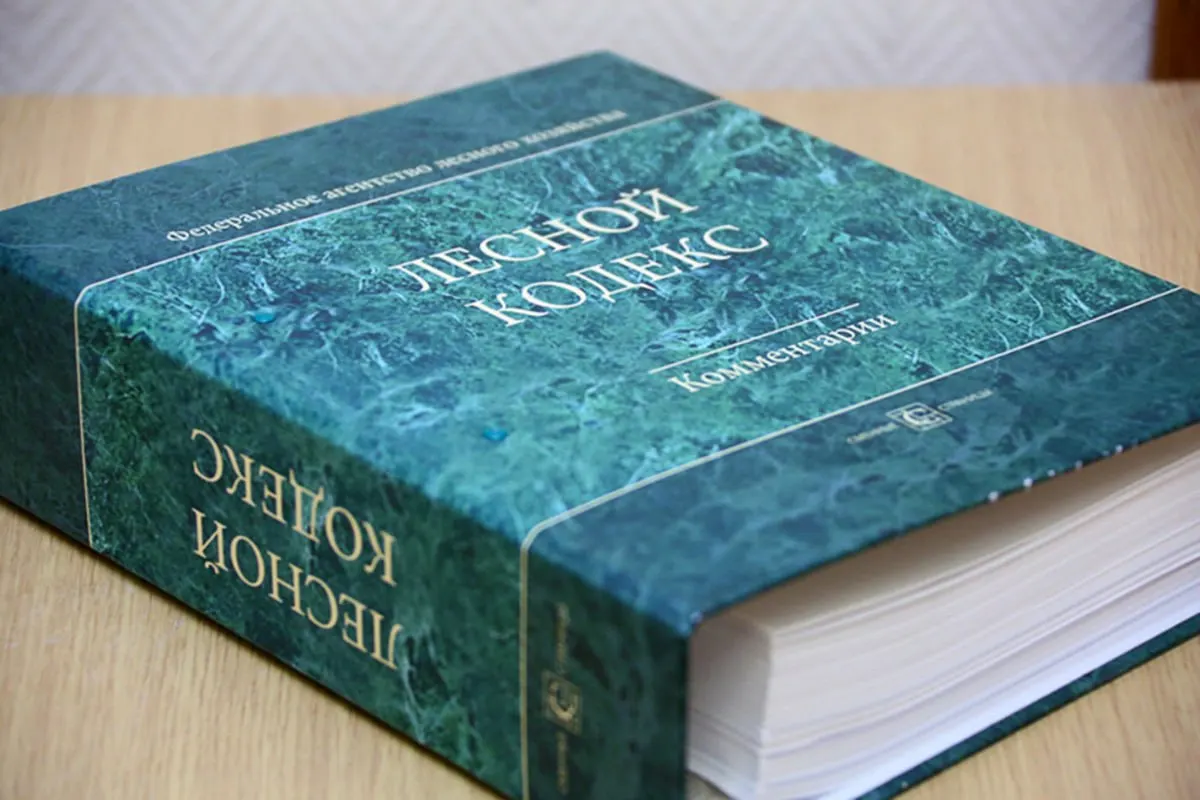 С момента принятия в 2006 году в Лесной кодекс внесли 79 пакетов поправок — последний из них вступит в силу в сентябре. По мнению эксперта по лесам, кодекс нужно заменить и значительно упростить.