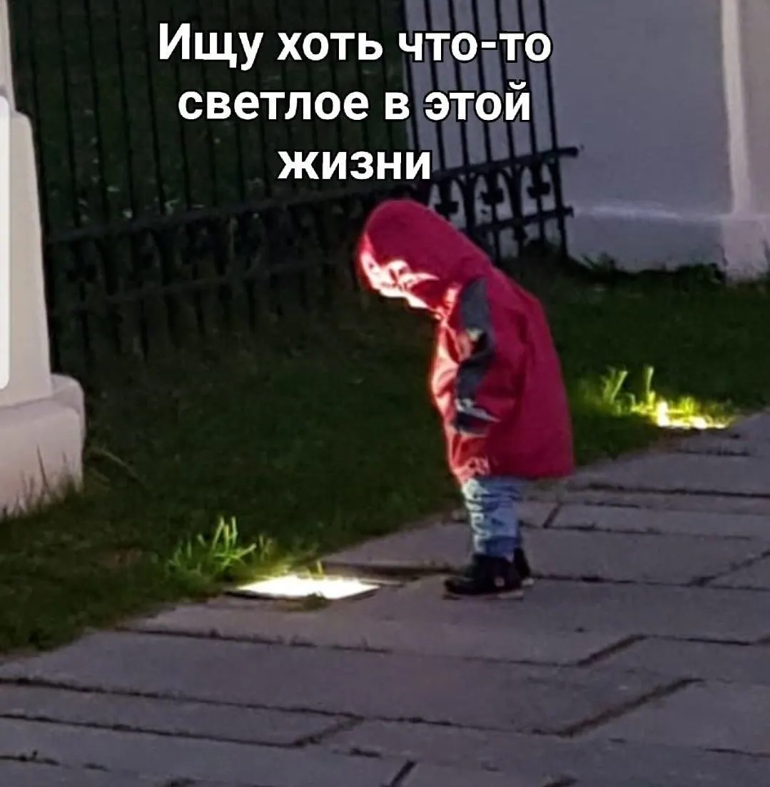 В Госдуме предупреждают об учащении мошеннических схем: фальшивые сайты отелей и турфирм, поддельные группы в соцсетях и ложные предложения. Советы по безопасному бронированию и инициатива по созданию единого портала туризма.