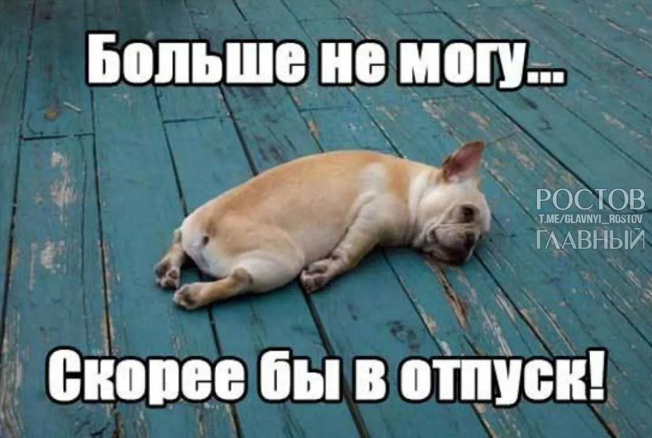 Депутаты предлагают поднять минимальную продолжительность отпуска с 28 до 35 дней, чтобы компенсировать включаемые в отпуск выходные и снизить риск выгорания у работников.