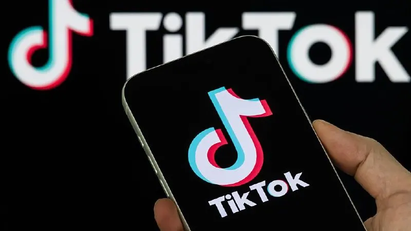 Платформу наказали штрафом после того, как она не удалила два видео, которые регуляторы сочли «пропагандой нетрадиционных сексуальных отношений». В решении также упомянуто объявление так называемого «Международного движения ЛГБТ» экстремистской организацией.