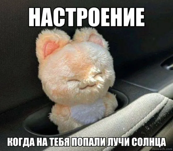 По результатам рейтинга Чита лидирует по числу солнечных дней в году (244); в список также вошли Хабаровск, Якутск и другие крупные города.