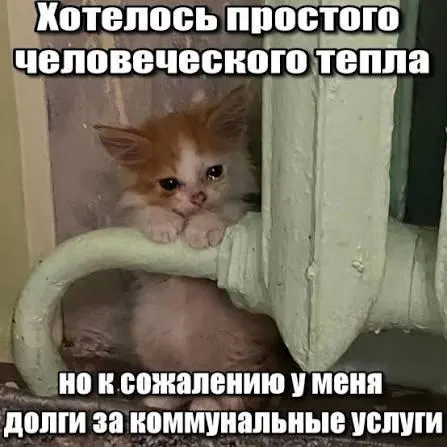 Суд подтвердил применение трёхлетней исковой давности к долгам за капремонт — после её истечения принудительное взыскание из квитанций невозможно.