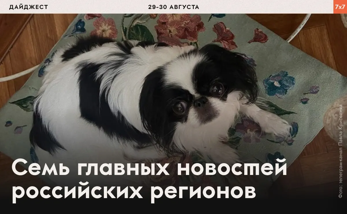 Короткая подборка новостей по регионам: задержания, давление на активистов и новые запреты.