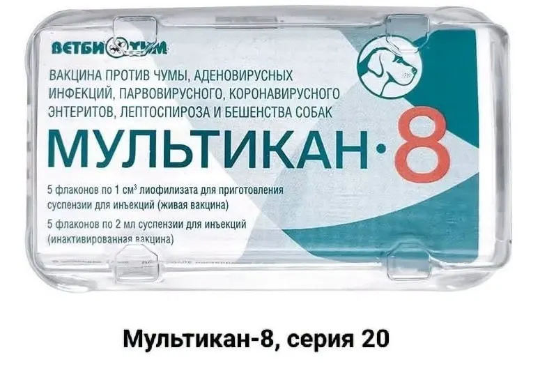 Владельцы собак, погибших после вакцинации вакциной «Мультикан‑8», требуют расследования и прозрачности ситуации, заявляя о возможном наличии вируса Ауески в вакцине.